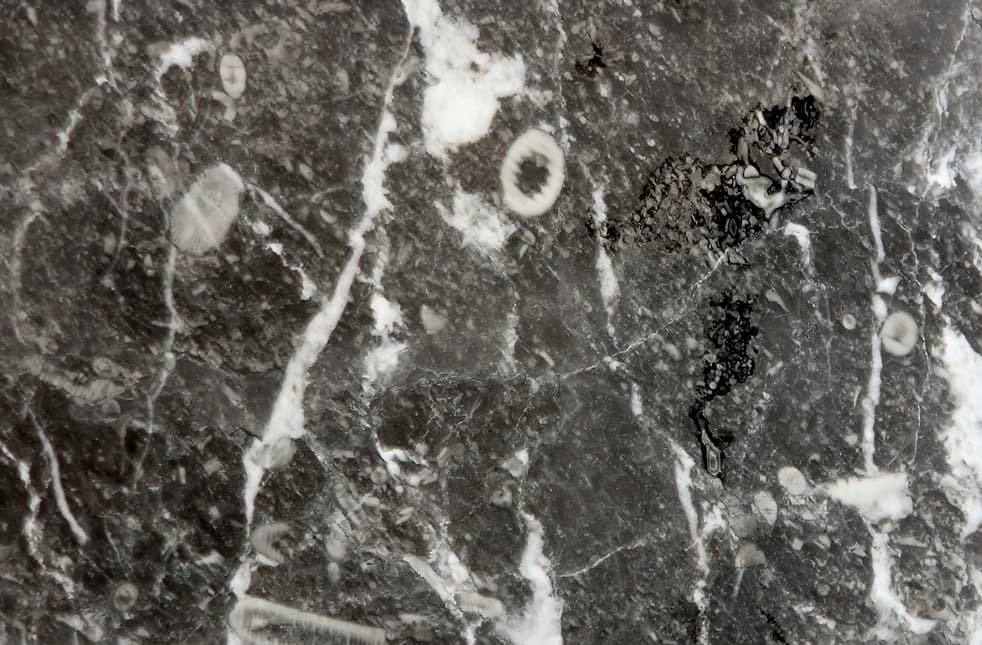 Mármol Noir Blanc, mármol natural del catálogo Stonehaus